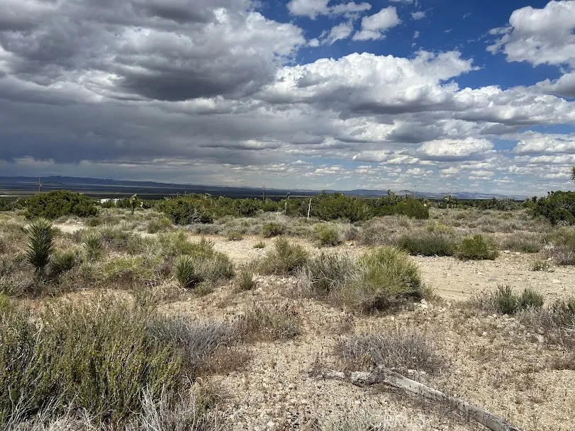 223 Avenue Y14 Llano, CA 93544