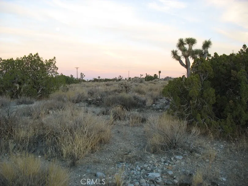 223 Avenue Y14 Llano, CA 93544