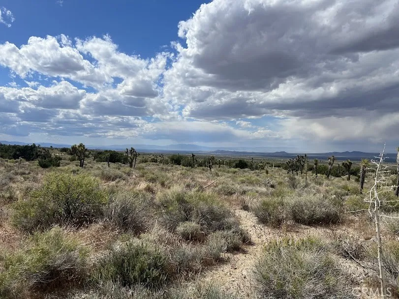 223 Avenue Y14 Llano, CA 93544