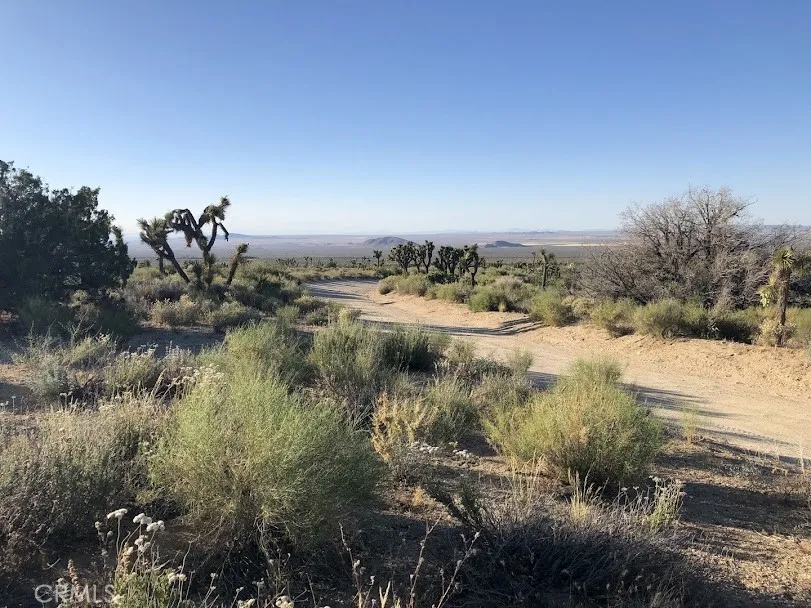 223 Avenue Y14 Llano, CA 93544