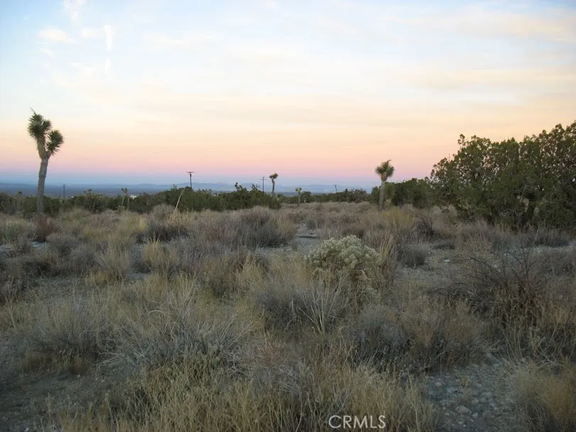 223 Avenue Y14 Llano, CA 93544