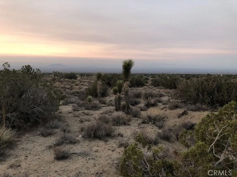 223 Avenue Y14 Llano, CA 93544