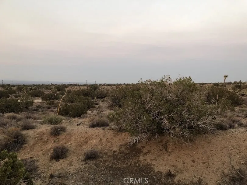 223 Avenue Y14 Llano, CA 93544
