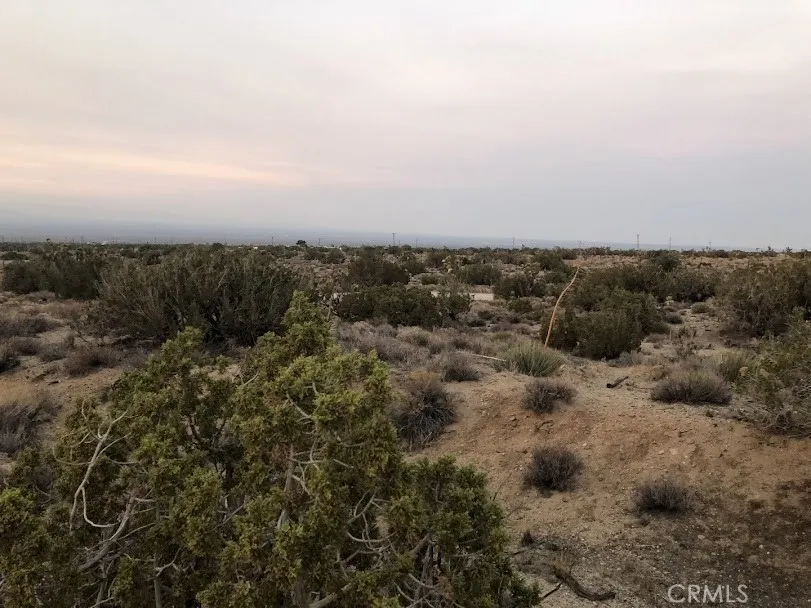 223 Avenue Y14 Llano, CA 93544