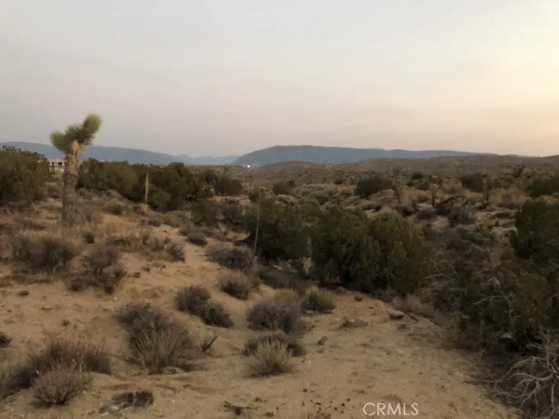 223 Avenue Y14 Llano, CA 93544