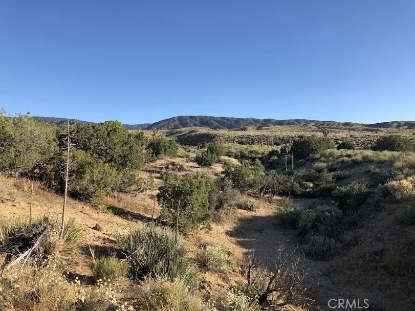 223 Avenue Y14 Llano, CA 93544