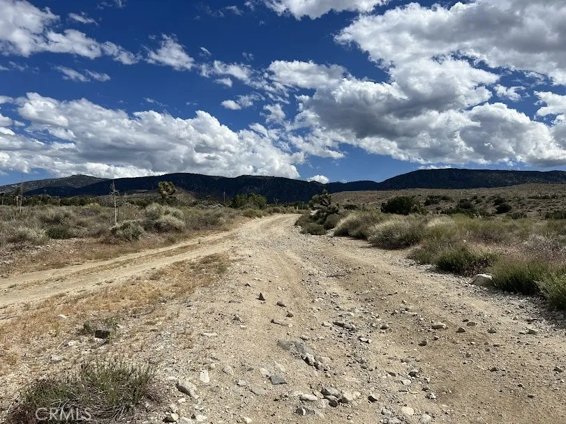 223 Avenue Y14 Llano, CA 93544