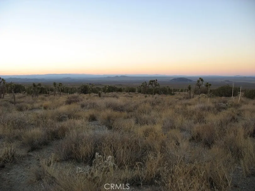 223 Avenue Y14 Llano, CA 93544