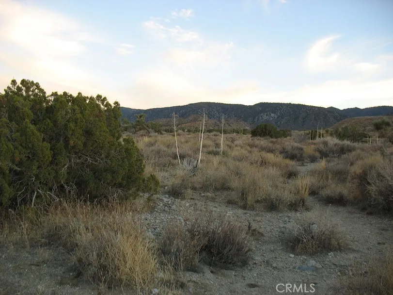 223 Avenue Y14 Llano, CA 93544