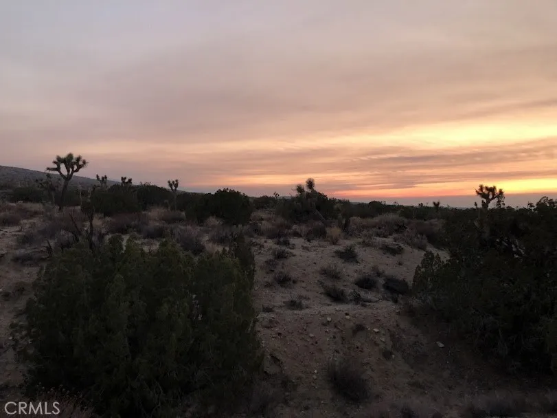 223 Avenue Y14 Llano, CA 93544