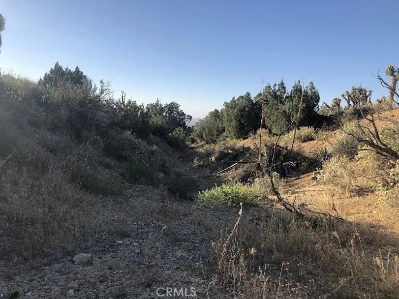 223 Avenue Y14 Llano, CA 93544