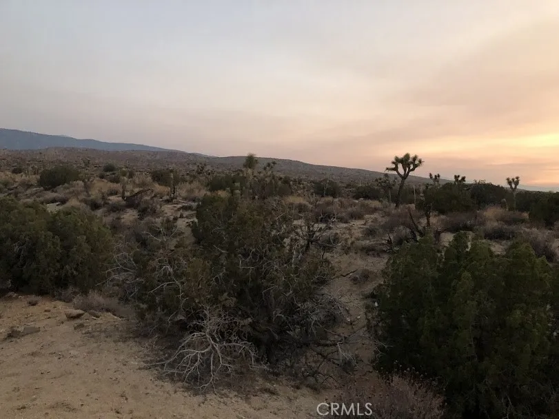 223 Avenue Y14 Llano, CA 93544