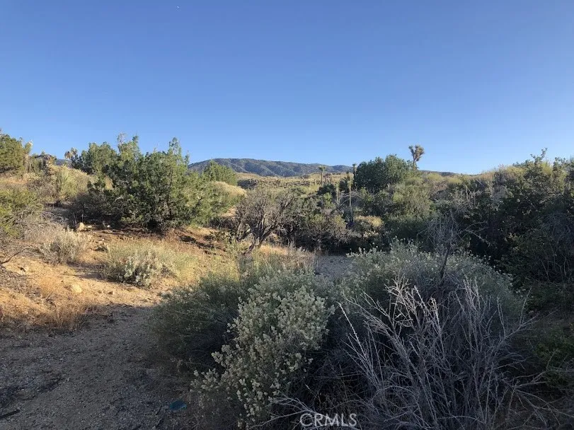 223 Avenue Y14 Llano, CA 93544