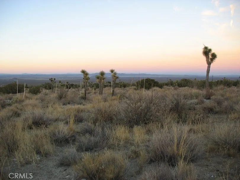 223 Avenue Y14 Llano, CA 93544
