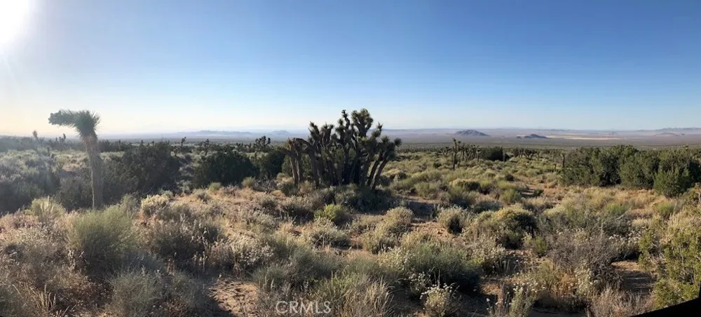 223 Avenue Y14 Llano, CA 93544