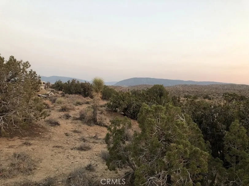 223 Avenue Y14 Llano, CA 93544