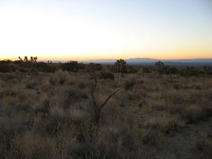 223 Avenue Y14 Llano, CA 93544