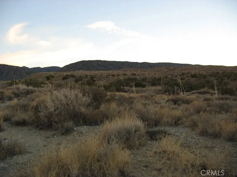 223 Avenue Y14 Llano, CA 93544