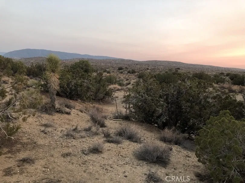 223 Avenue Y14 Llano, CA 93544
