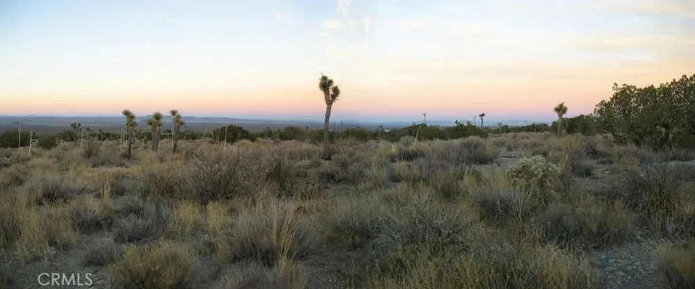 223 Avenue Y14 Llano, CA 93544