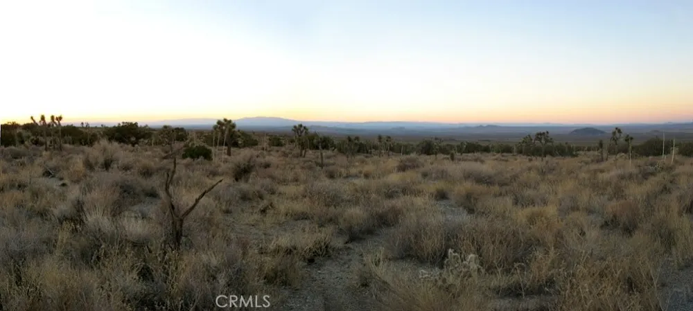 223 Avenue Y14 Llano, CA 93544