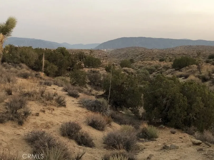 223 Avenue Y14 Llano, CA 93544