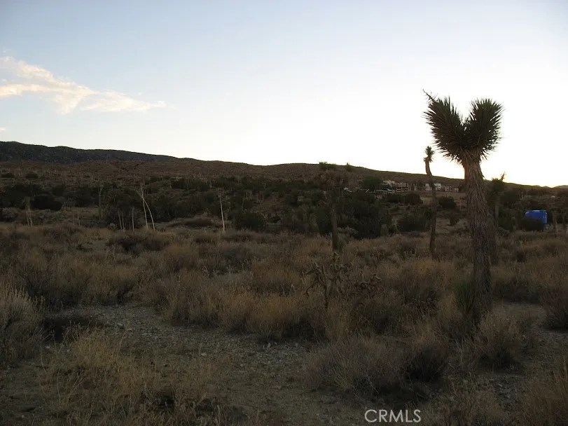 223 Avenue Y14 Llano, CA 93544