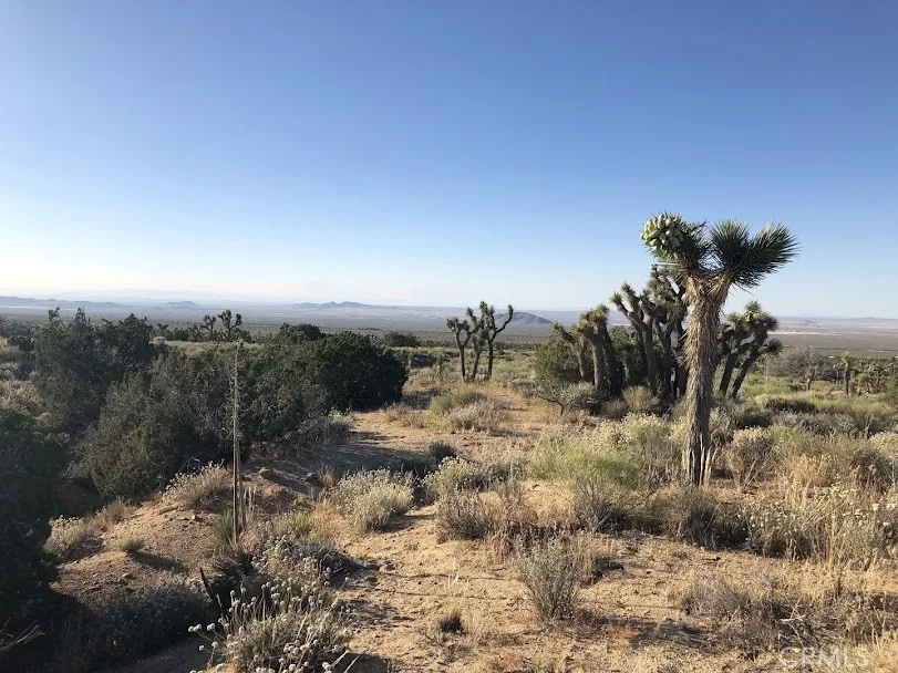 223 Avenue Y14 Llano, CA 93544