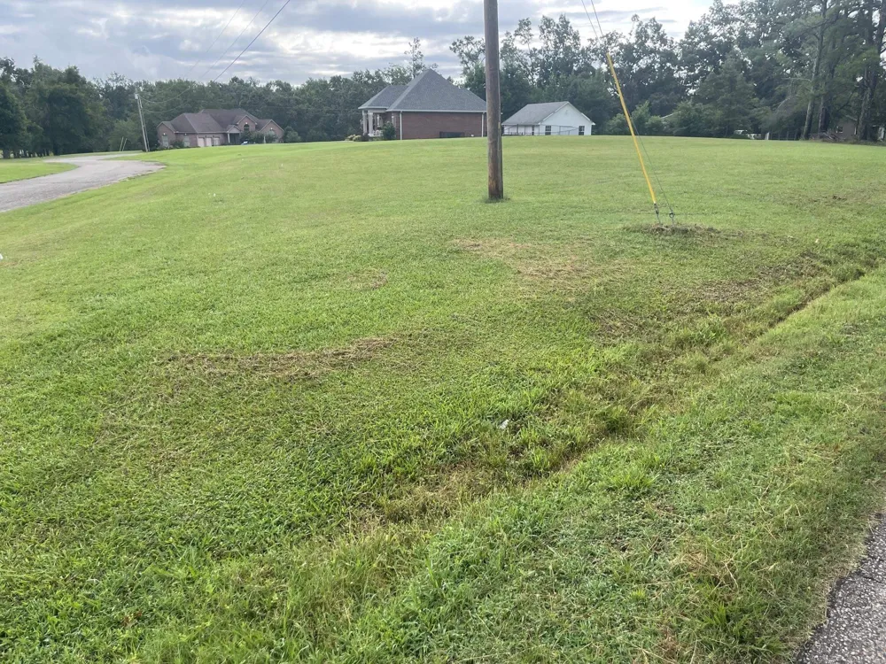 0 CANEY BRANCH RD Adamsville, TN 38310