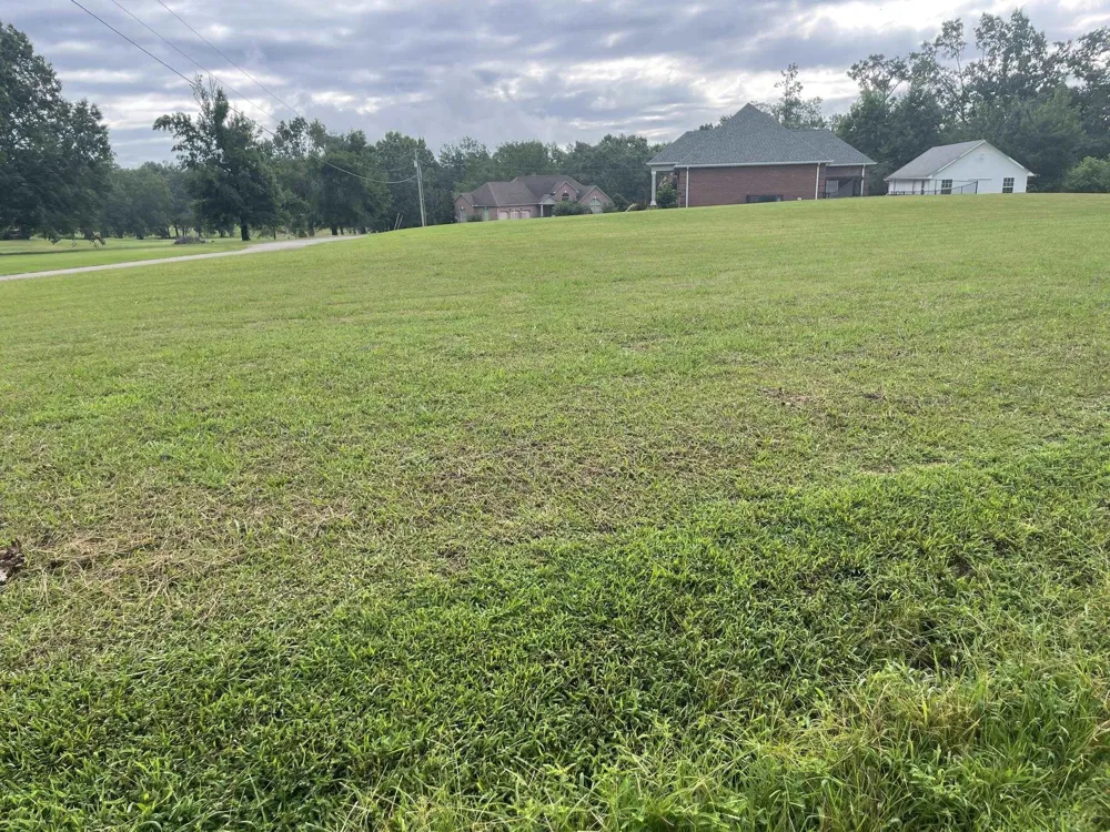 0 CANEY BRANCH RD Adamsville, TN 38310