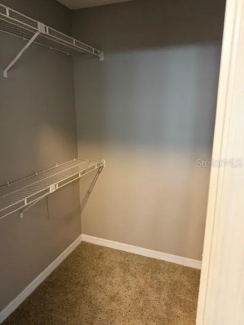 8209 OLYMPIA COURT #8209 Longwood, FL 32779