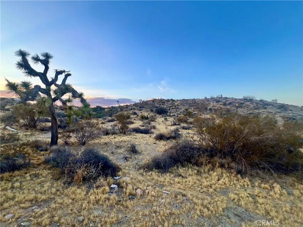 Hacienda Drive Yucca Valley, CA 92284