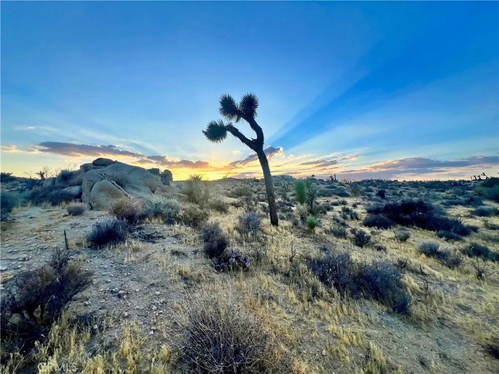 Hacienda Drive Yucca Valley, CA 92284