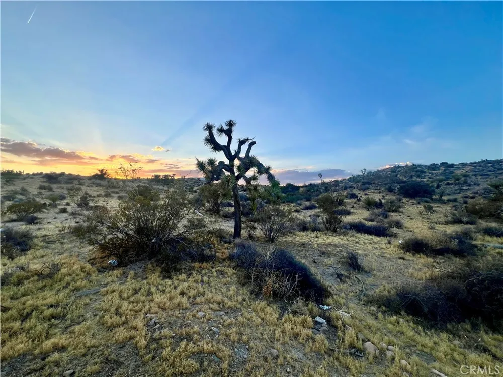 Hacienda Drive Yucca Valley, CA 92284