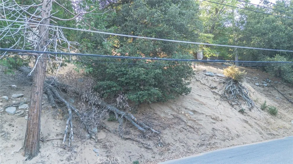 310 Wylerhorn Crestline, CA 92325
