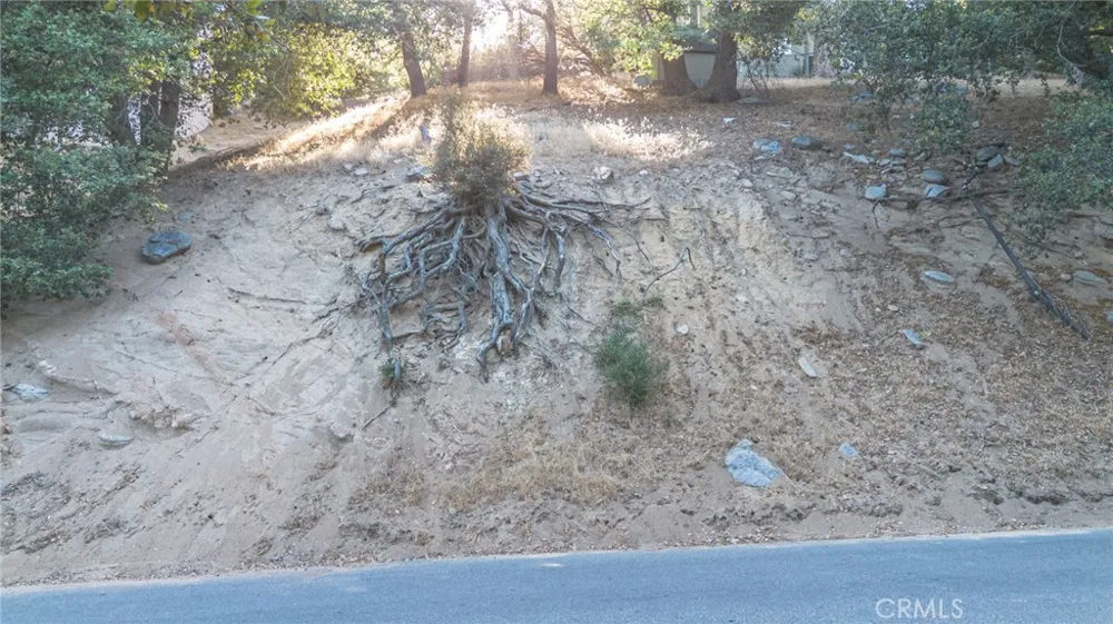 310 Wylerhorn Crestline, CA 92325