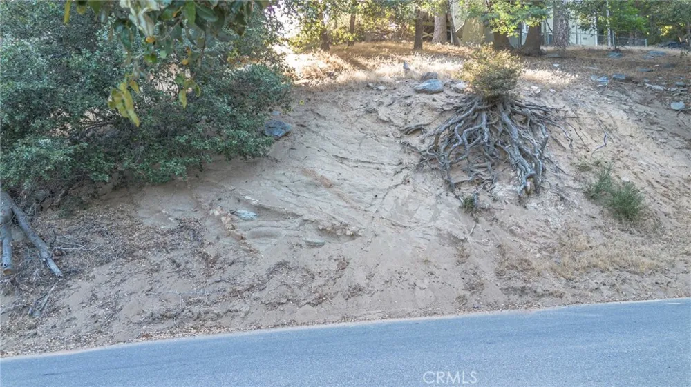 310 Wylerhorn Crestline, CA 92325