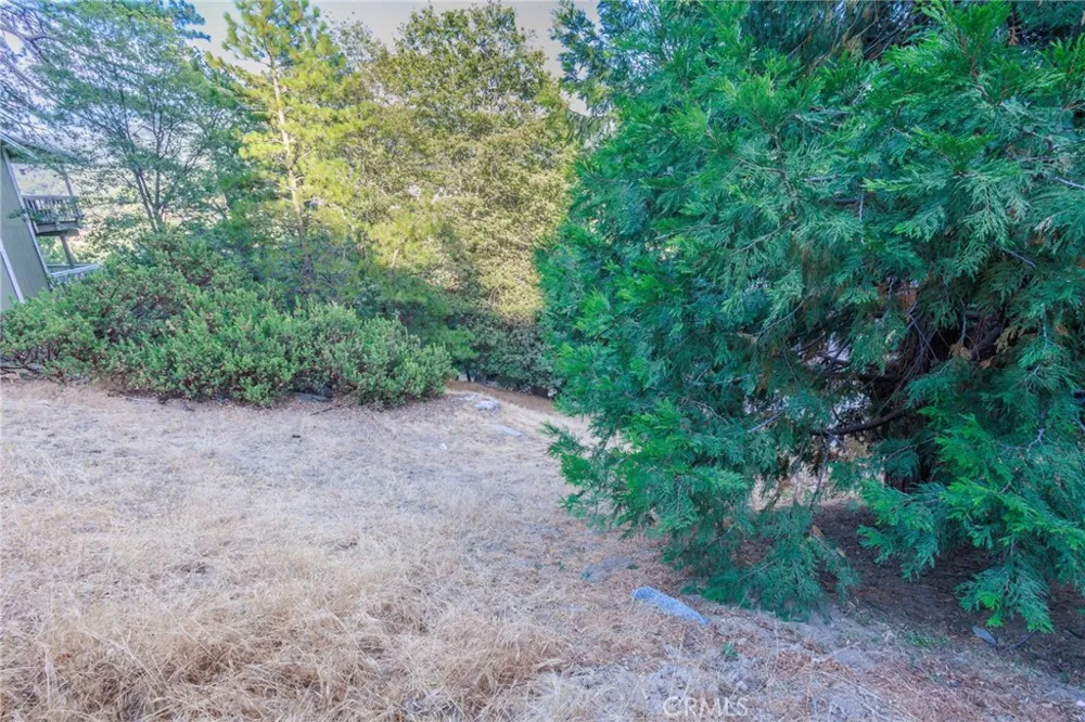 310 Wylerhorn Crestline, CA 92325