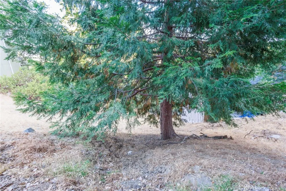 310 Wylerhorn Crestline, CA 92325