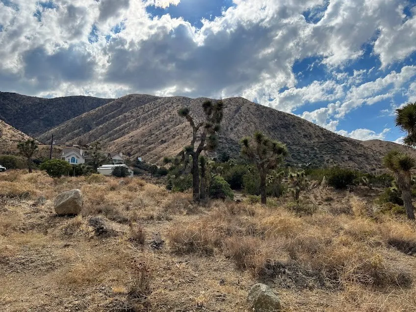 11890 Juniper Hills Littlerock, CA 93543
