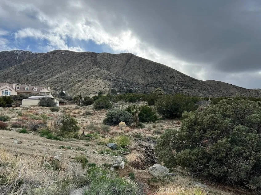 11890 Juniper Hills Littlerock, CA 93543