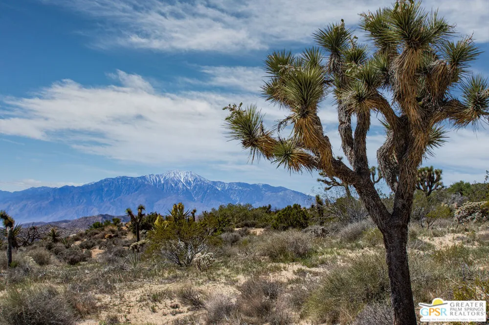53765 RIDGE ROAD Yucca Valley, CA 92284
