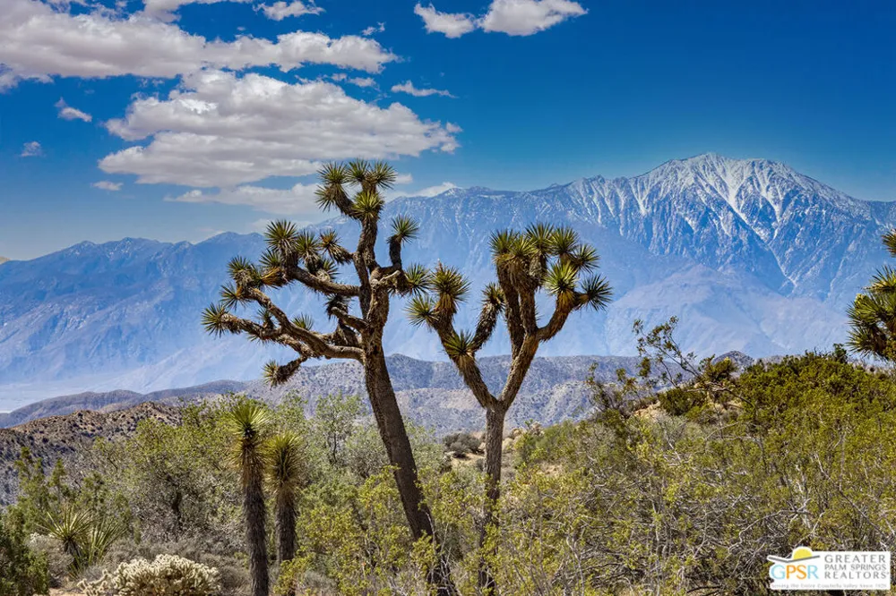 53765 RIDGE ROAD Yucca Valley, CA 92284