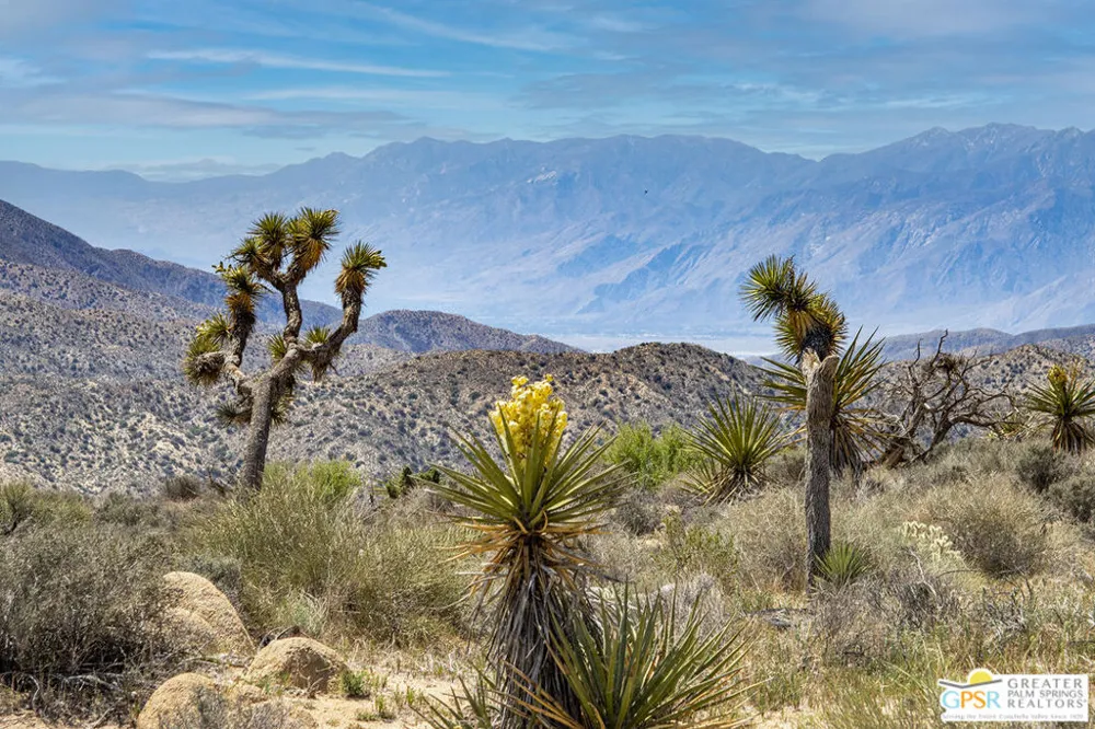53765 RIDGE ROAD Yucca Valley, CA 92284