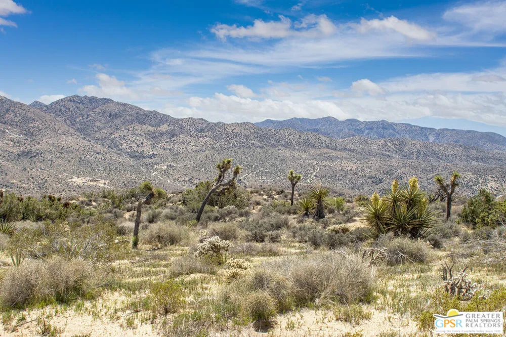 53765 RIDGE ROAD Yucca Valley, CA 92284