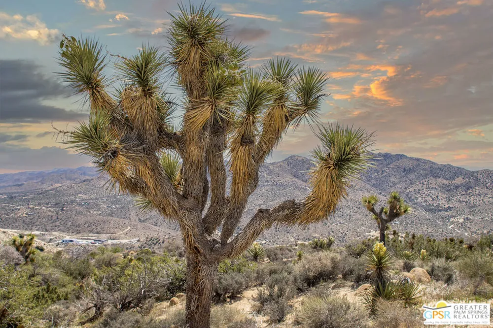 53765 RIDGE ROAD Yucca Valley, CA 92284