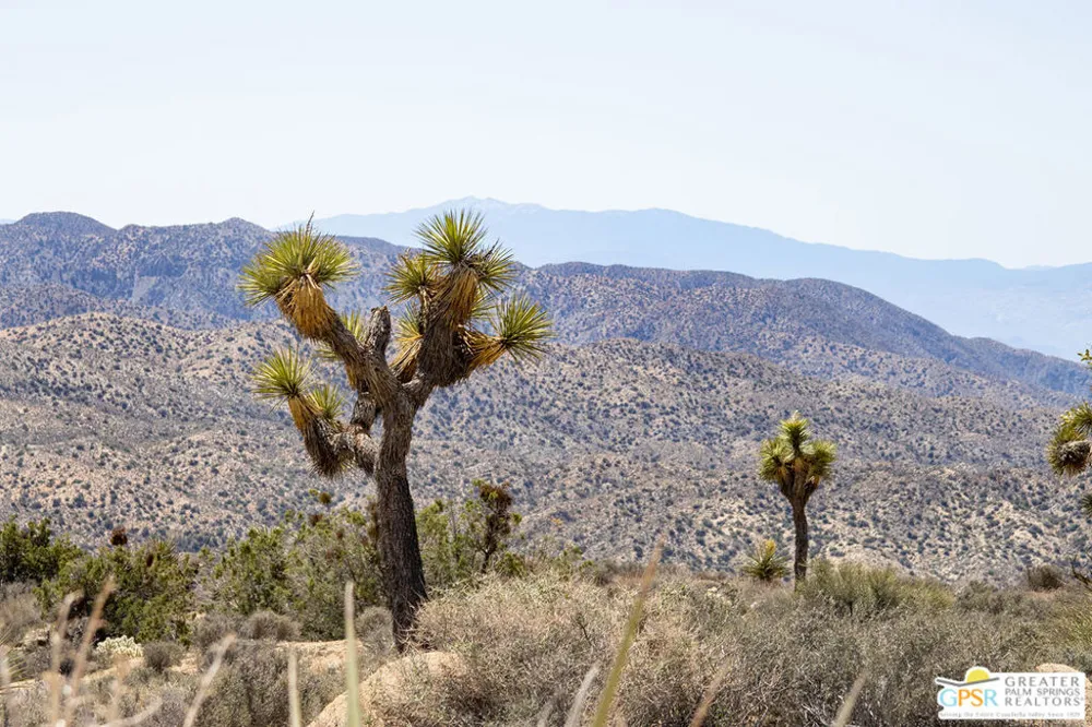 53765 RIDGE ROAD Yucca Valley, CA 92284