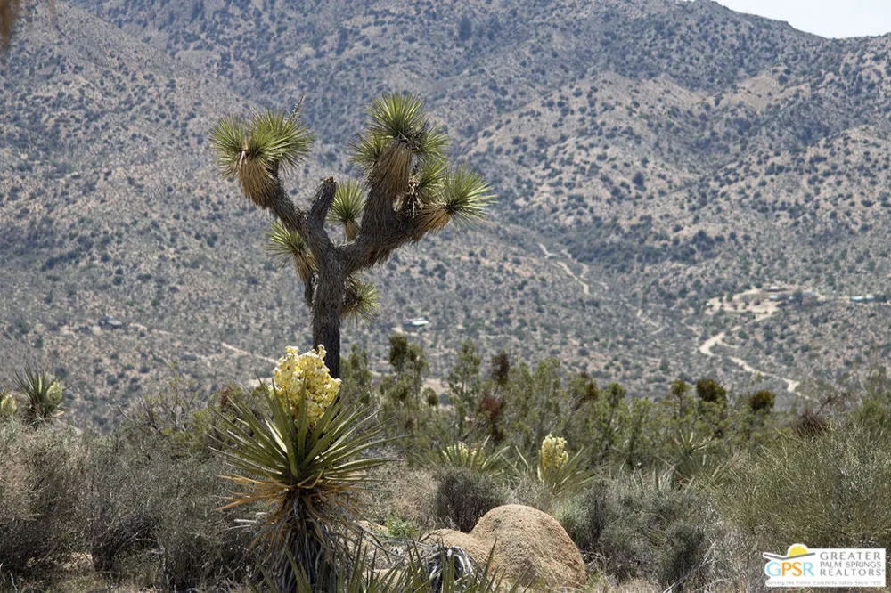 53765 RIDGE ROAD Yucca Valley, CA 92284