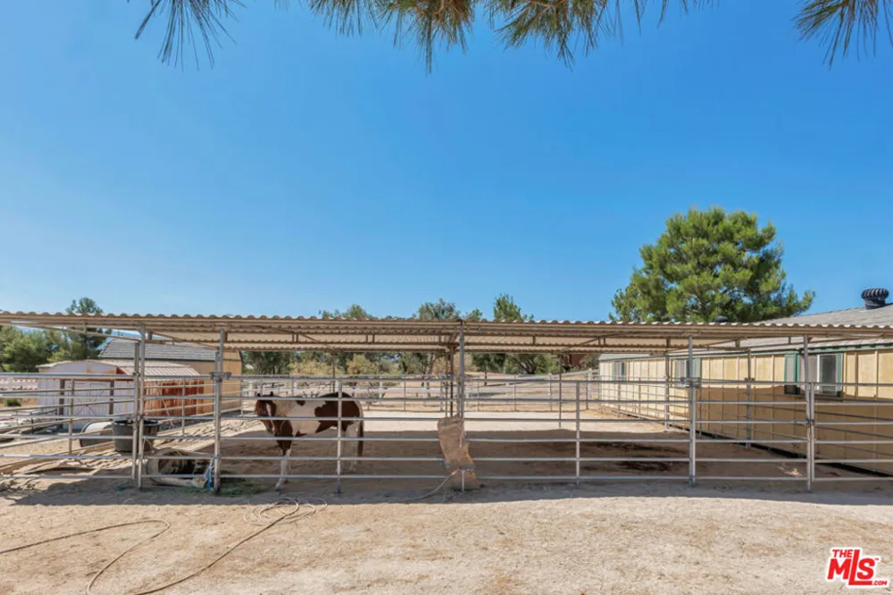 11734 Chisholm Court Agua Dulce, CA 91390