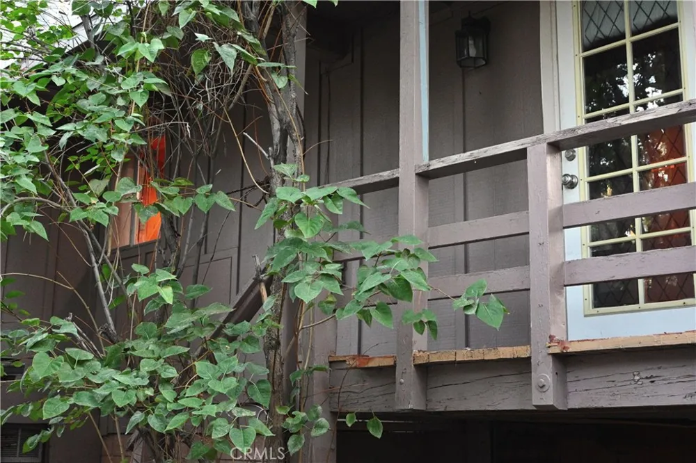 1628 Thrush Wrightwood, CA 92397